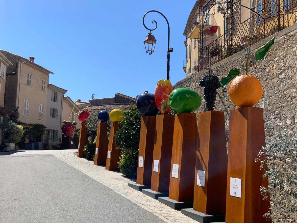 Collection - Ravissante Avec Bassin Chauffe En Saison Mougins