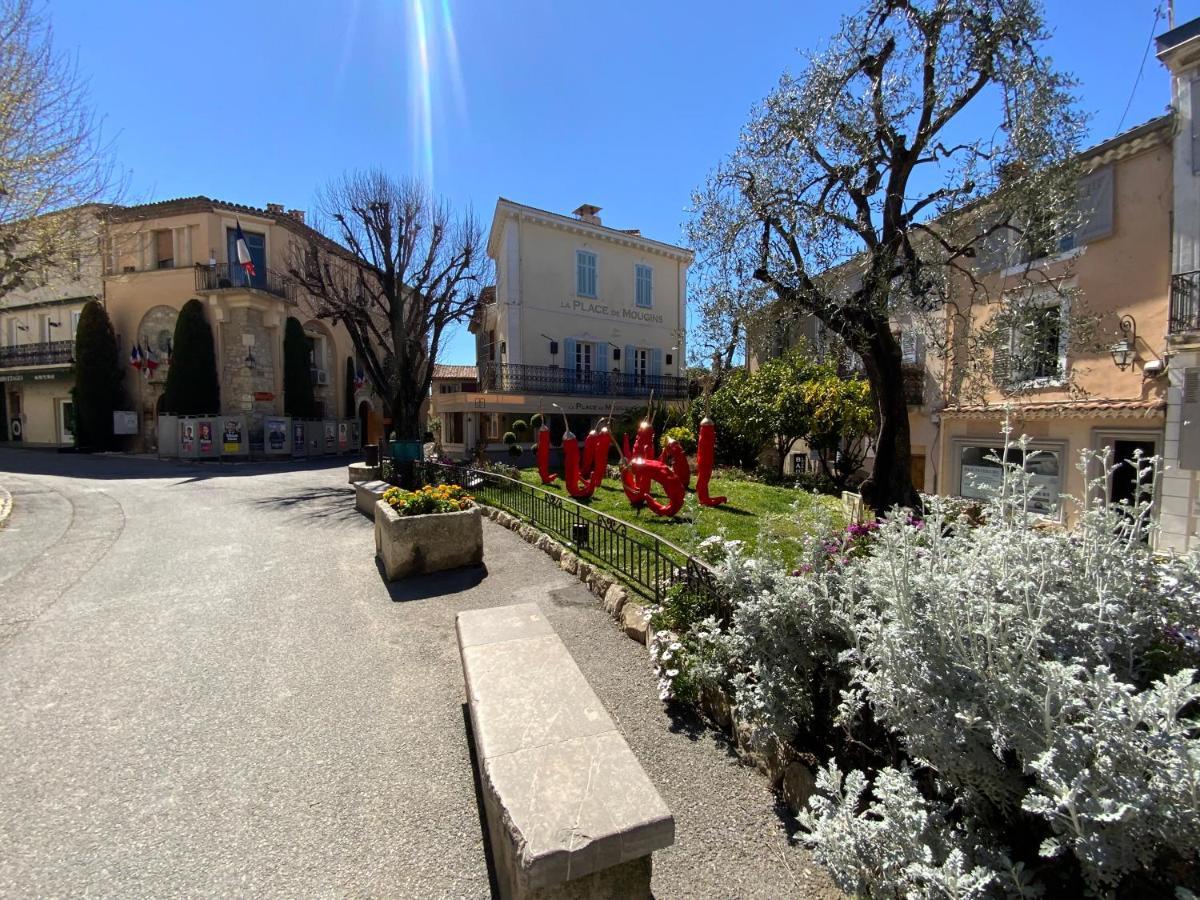 Collection - Ravissante Avec Bassin Chauffe En Saison * Mougins